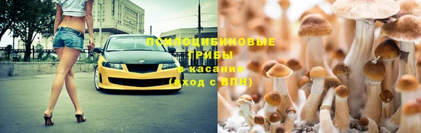 молекула духа Дмитров