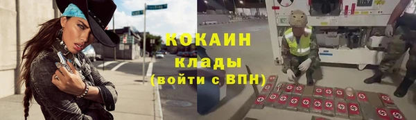 эйфоретик Дмитриев