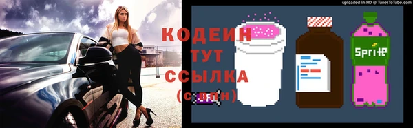 эйфоретик Дмитриев