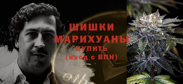 эйфоретик Дмитриев