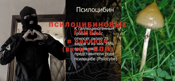 эйфоретик Дмитриев