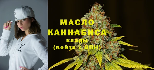 молекула духа Дмитров