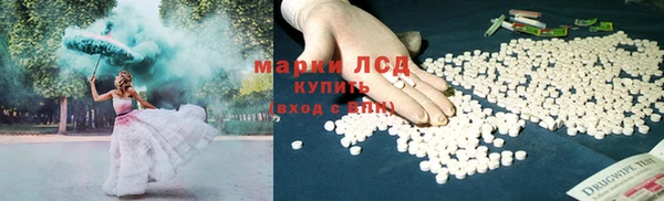 молекула духа Дмитров