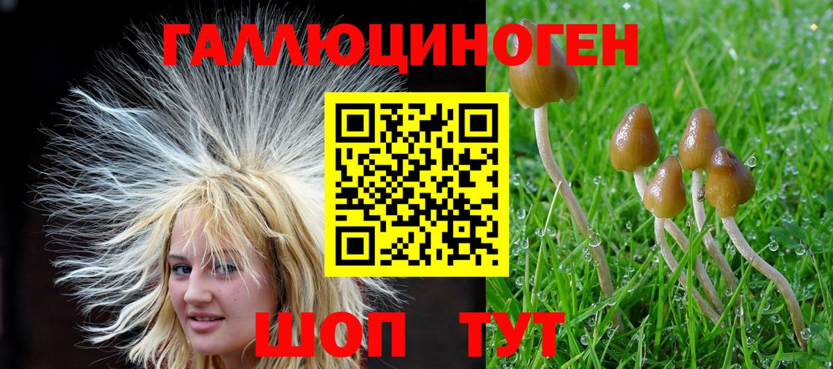 Галлюциногенные грибы GOLDEN TEACHER  Вход с VPN  Пятигорск 