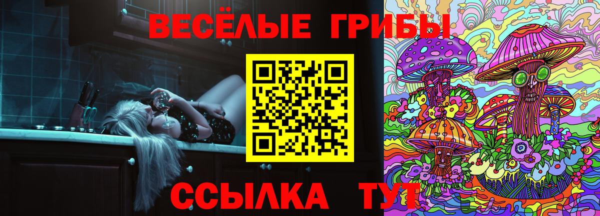 Псилоцибиновые грибы мицелий Пятигорск
